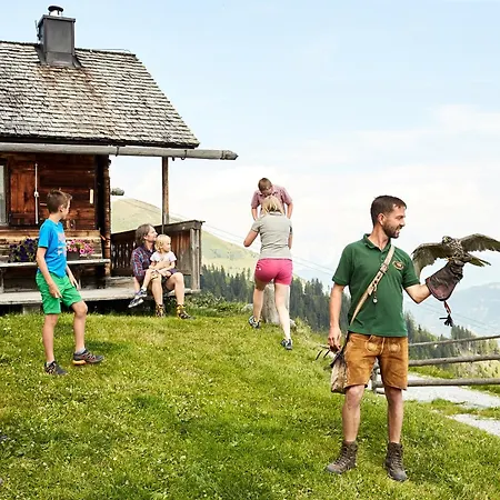 Tatil Evi Hochalmbahnen 1-19, Silberdistel, Nahe Gondel, Mit Wallbox *