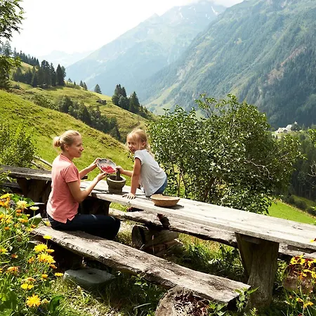 Hochalmbahnen 1-19, Silberdistel, Nahe Gondel, Mit Wallbox Tatil Evi Rauris