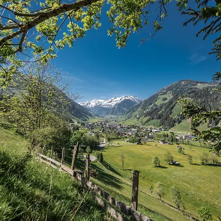Hochalmbahnen 1-19, Silberdistel, Nahe Gondel, Mit Wallbox