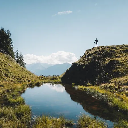 Сasa de vacaciones Hochalmbahnen 1-19, Silberdistel, Nahe Gondel, Mit Wallbox Rauris